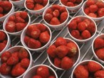 Strawberries