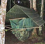 Fergus' hammock
