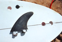 fin damage