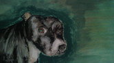 The dog