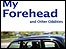 forehead
