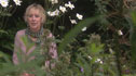Carol Klein