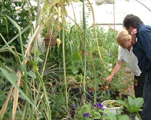Bob Flowerdew