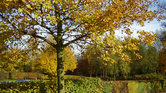 Autumn dreams...