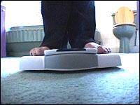 Scales