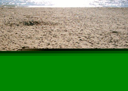 502 beach