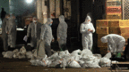 目前在中國已經有14人感染H7N9病毒，其中6人死亡。