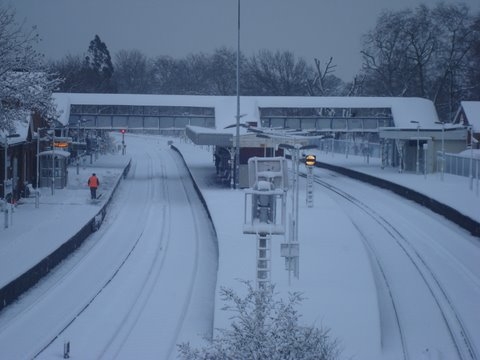 snowy44.JPG