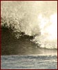 East Coast Surf League