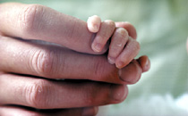 Hands