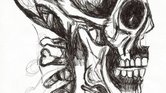 skull