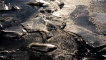 The frozen water in the quay behind the IMAX, 7 January 2010