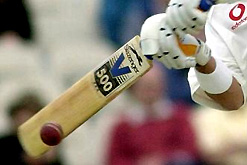 cricket