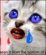 The Singing Kitten
