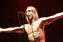 iggy.jpg
