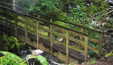 wooden bridge