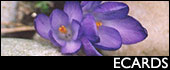 ecards