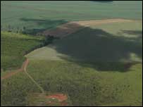 Mato Grosso