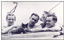 Simon the cat