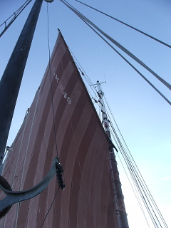 Sail No 243