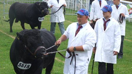 2010-llanelwedd-2.jpg