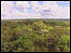 Floresta amazônica