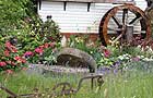 The Miller's Garden