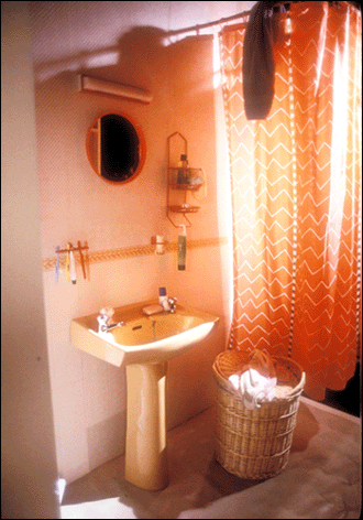 bathroomblog.gif