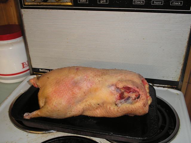Ready for the oven