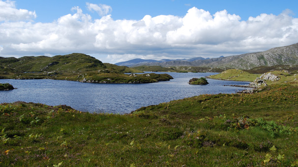 Scalpay