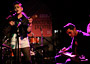 Videos of Kitty, Daisy and Lewis