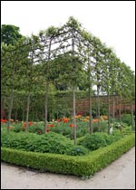Part of the ornamental garden at Alnwick Garden
