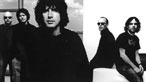 Super Furry Animals