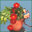 Terracotta pot