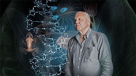 David Attenborough