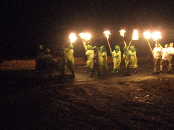 The Frog Chorus