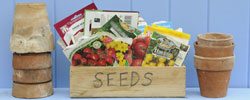 seeds