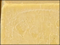 cheddar.jpg