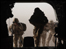 Soldiers in Afghanistan
