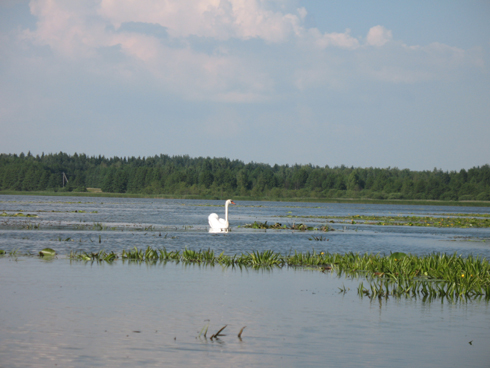Belarus