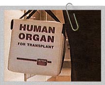 Organ box