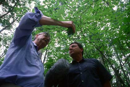 blog-wilson-pic.jpg