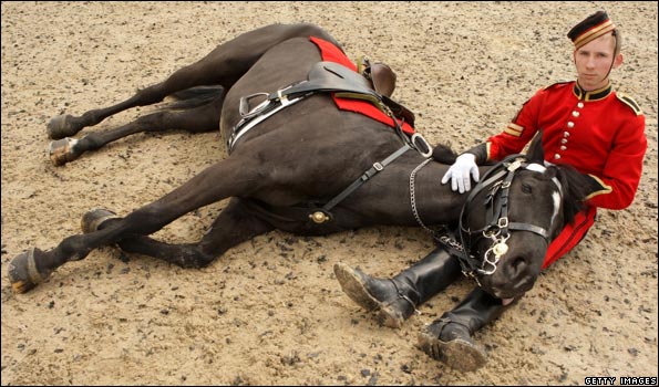 horse.595.jpg
