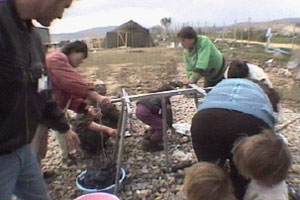Tim tests the water