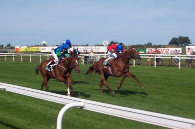 Horses racing