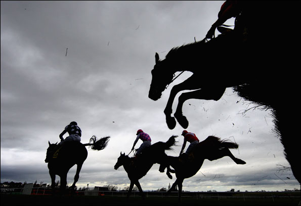 Cheltenham_horses_JulianFin.jpg