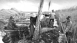Workers