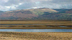 Ynys Hir
