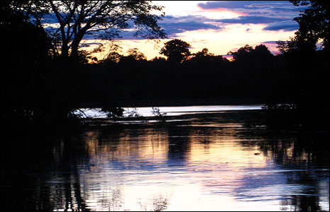 reflexii