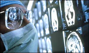 cerebro2.jpg